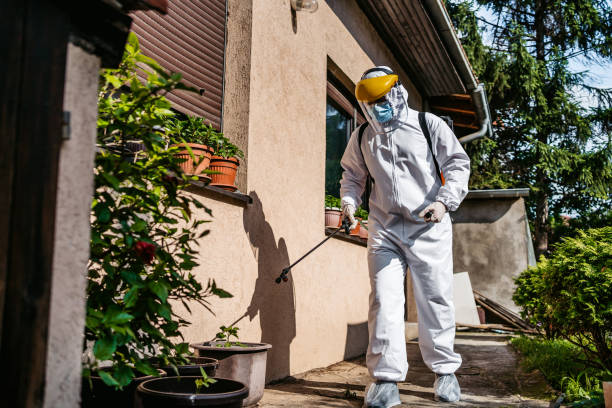 Best Bed Bug Extermination  in Warrensburg, IL
