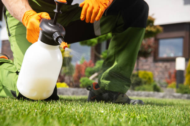 Best Mosquito Control Services  in Warrensburg, IL