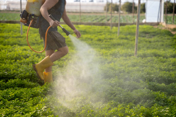 Best Pest Control Near Me in Warrensburg, IL