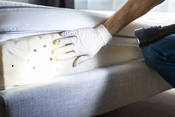  Warrensburg, IL Pest Control Pros