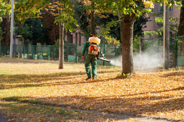Best Pest Control Near Me  in Warrensburg, IL