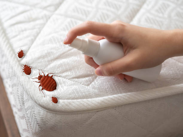 Reliable Warrensburg, IL Pest Control Solutions