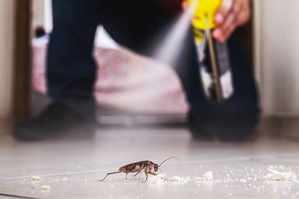 Best Best Pest Control Companies  in Warrensburg, IL