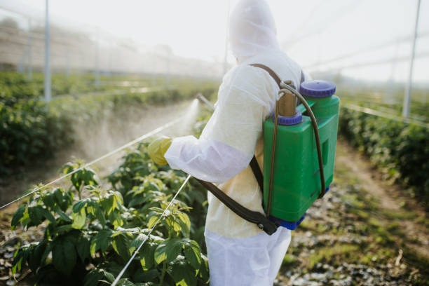 Best Exterminator Services  in Warrensburg, IL
